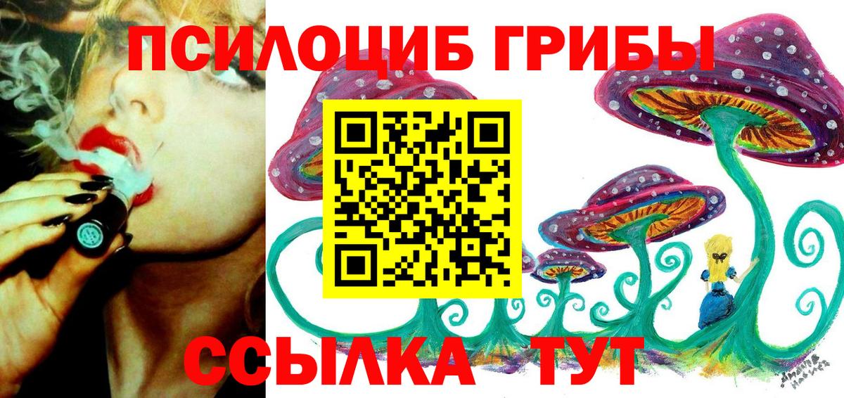 Псилоцибиновые грибы мицелий Гусиноозёрск