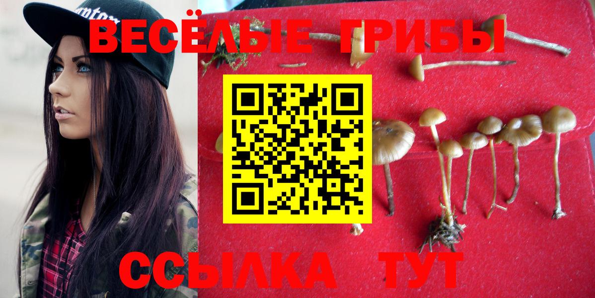 Псилоцибиновые грибы Magic Shrooms  Галлюциногенные грибы мицелий  Вход с VPN  что такое   Гусиноозёрск 
